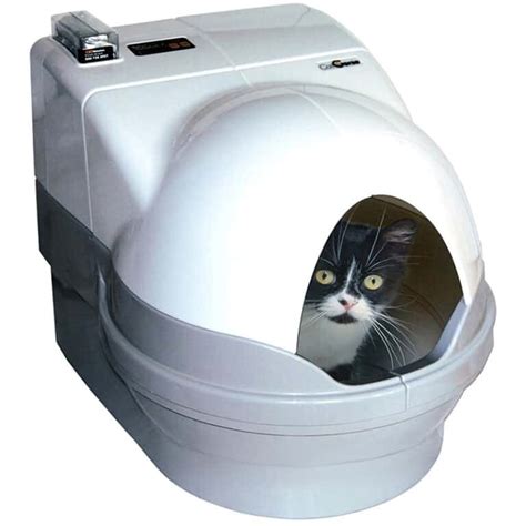 multi cat electric litter box|high sided litter box for cats.